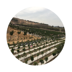 凤阳县栗山陵园有限公司