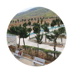 凤阳县栗山陵园有限公司