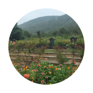 凤阳县栗山陵园有限公司